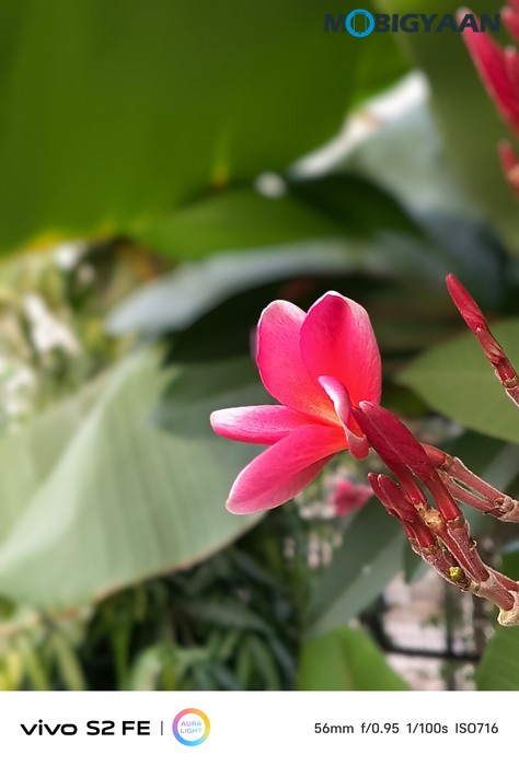 vivo S2 FE Review Camera Samples 30
