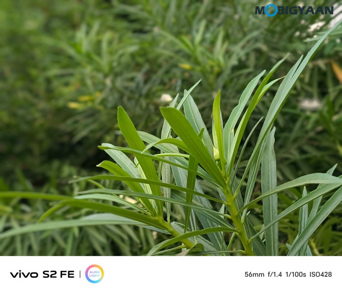 vivo S2 FE Review Camera Samples 32