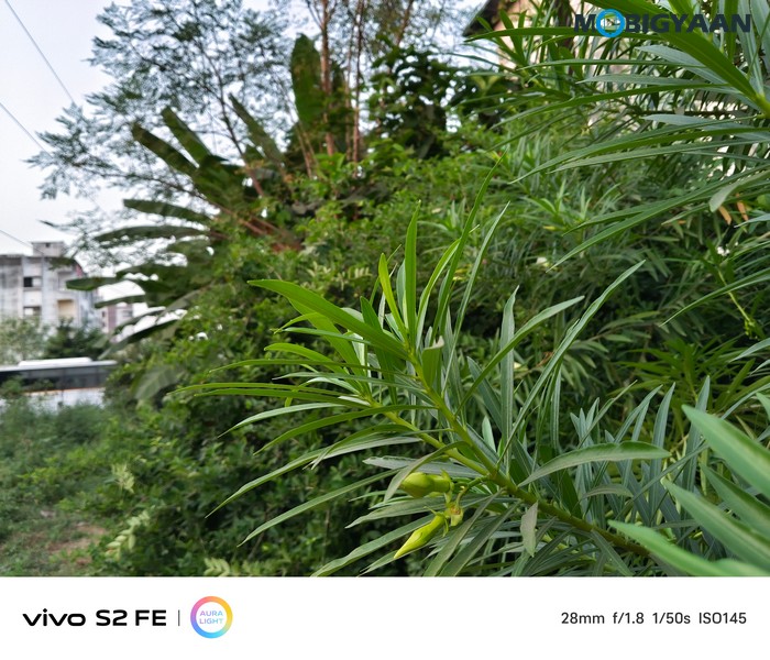 vivo S2 FE Review Camera Samples 33