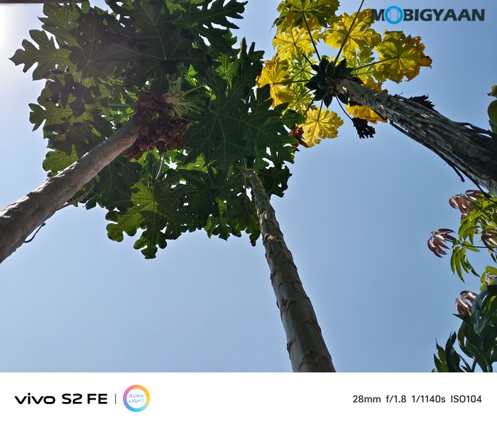 vivo S2 FE Review Camera Samples 5