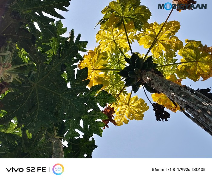 vivo S2 FE Review Camera Samples 6